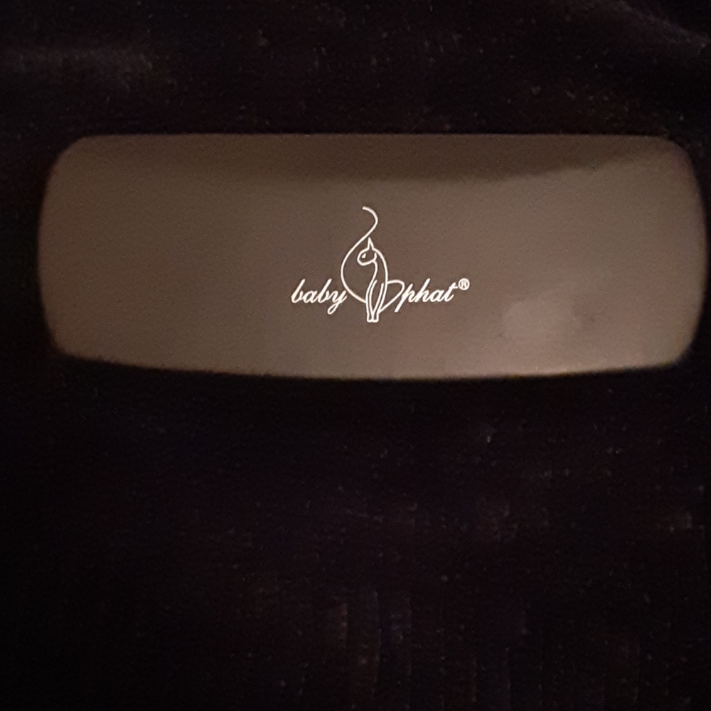 Baby Phat eyeglasses case